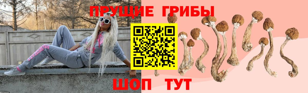 Галлюциногенные грибы мицелий Наро-Фоминск